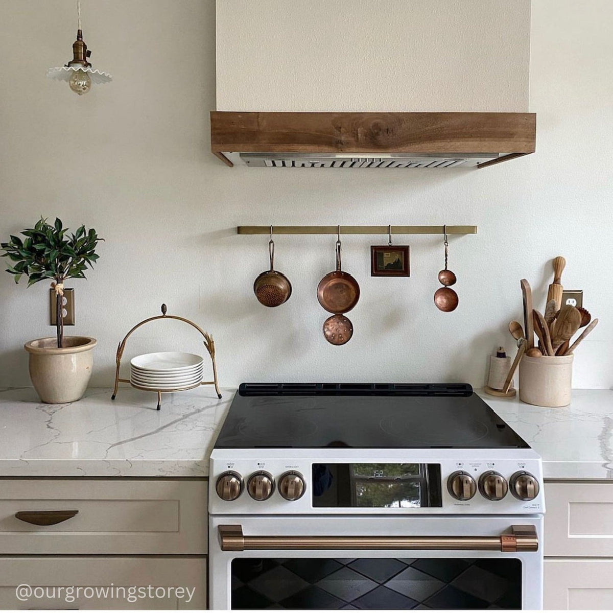 Stainless Steel Kitchen Hanging Rack Organizer